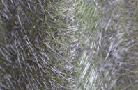 Hacheston fibreglass roof work